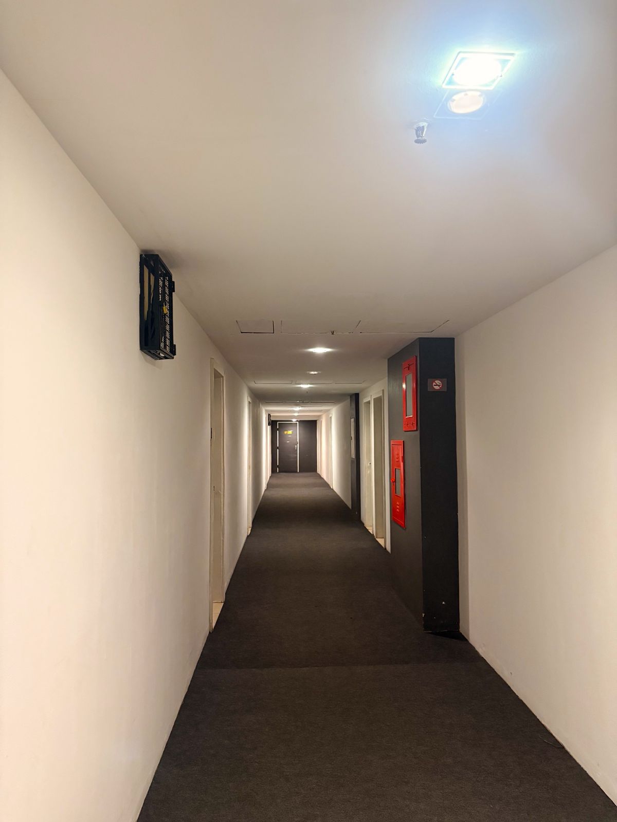 WhatsApp Image 2025-11-12 at 10.53.12